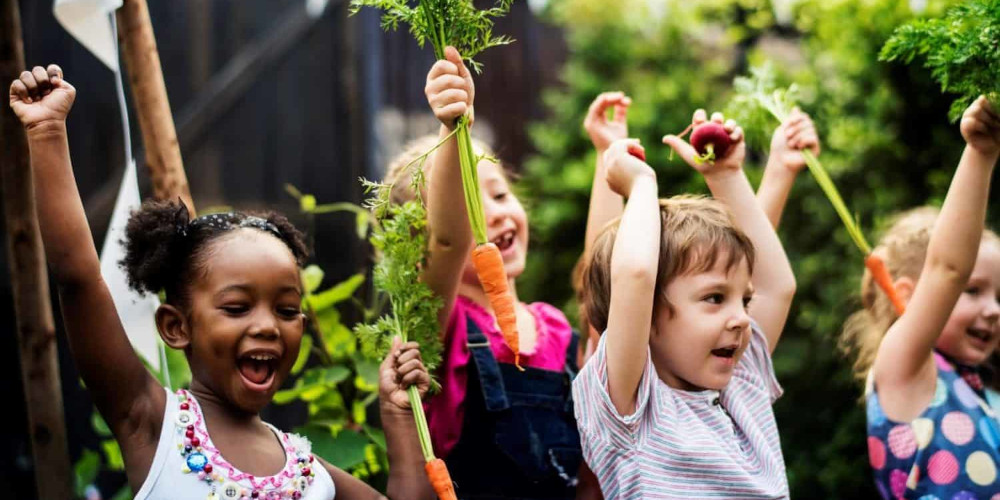 Fall Mountain Farm - Farm School